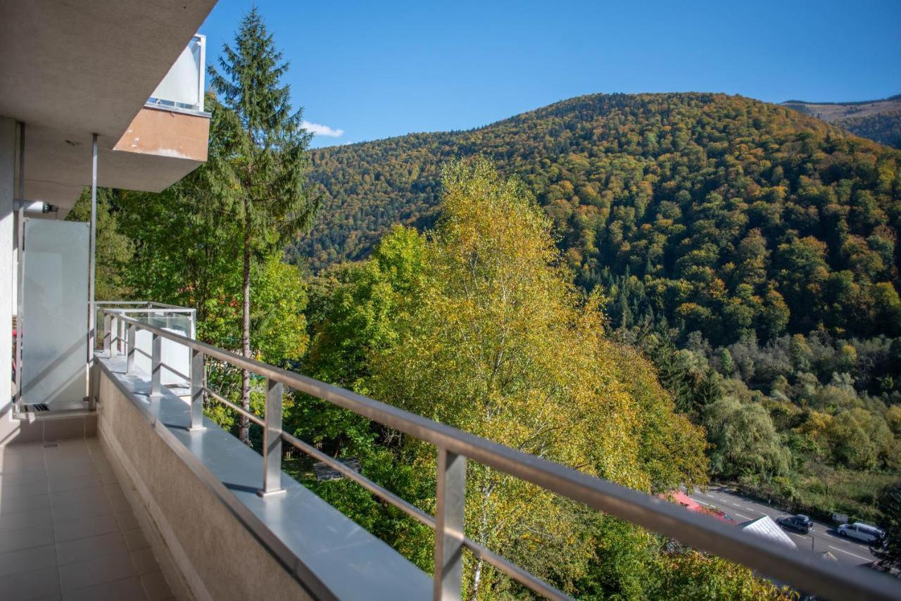 Blue Forest Studio Sinaia Kültér fotó